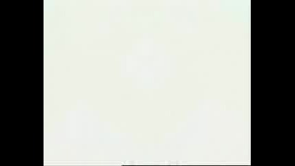 Flora transform
