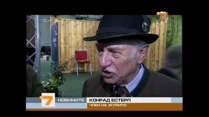 Имитиране на елени, състезание 
