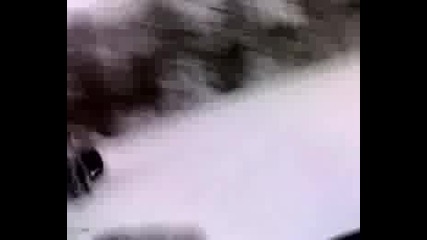 Atv 200 Bashan - drifting