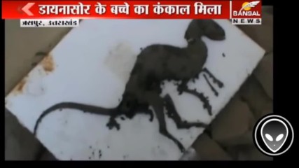 Мистерии: Странна вкаменелост наподобаваща Динозавър открита в Индия
