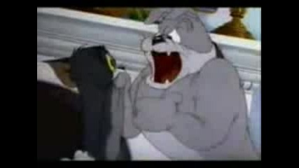 Tom And Jerry