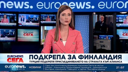 Ердоган поиска от парламента на Турция да ратифицира членството на Финландия в НАТО