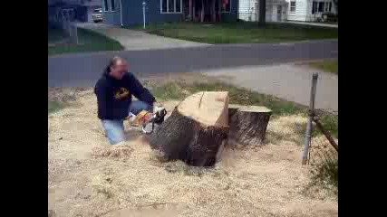 The Man Saw Stihl 660 Woods Ported