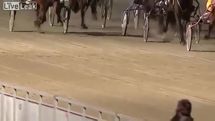 Секс на живо на конни надбягвания в Норвегия! [liveleak]