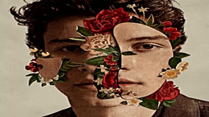 Shawn Mendes - Where Were You In The Morning?