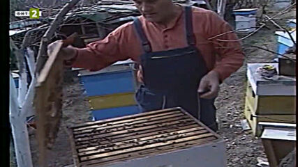 Насаме с пчелите - пета серия - Жилищата на пчелите (2001)