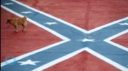 Texas Can Reject Confederate Flag License Plates, Supreme Court Rules