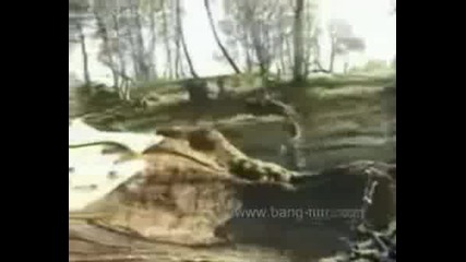 WoW Just Amazing Bike Trick