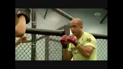 Ufc Greatest Highlights 2010