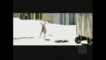 Bon Jovi - Its my life