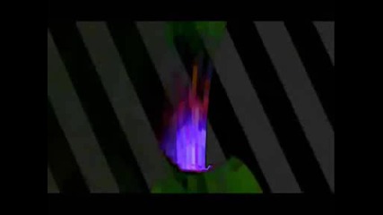 Misa Salacova.wmv