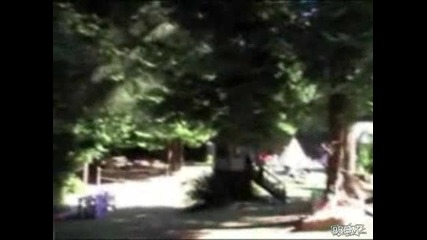 Блондинка се удря в дърво