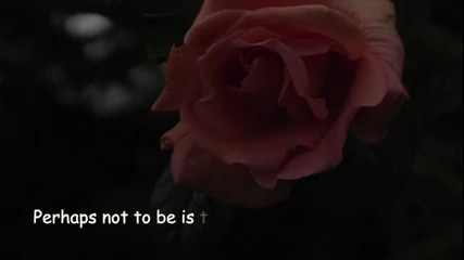 Pablo Neruda and Helen Jane Long ~ Early May Roses