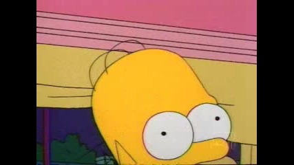 Simpsons - Homer the Vigilante