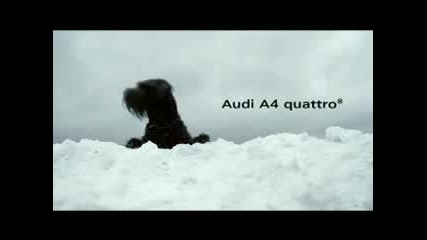 Реклама - Audi A4 - Кучето
