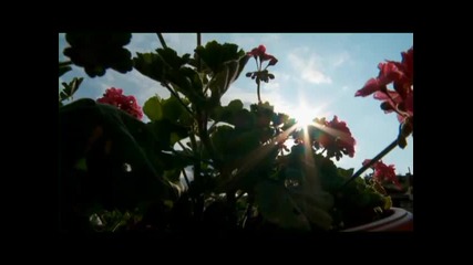 любомир панайотов - огън ми гори