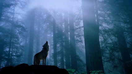 Cold Blue - The Wolf Pedro del Mar & Spark 7 Remix