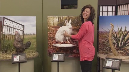 Смешна Скрита Камера - Jesus Brings Animals to Life