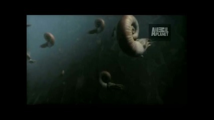 Animal Armageddon Coiled Predators