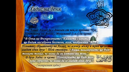 Из словата на Пратеника мир нему! - 3