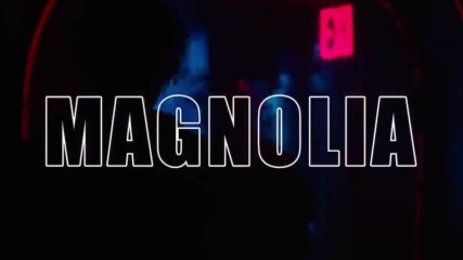 Playboi Carti - Magnolia