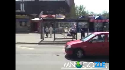 Куче напада кола