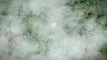 Kra - Bird [pv]