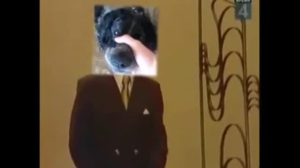 Kуче прави Beatbox песен ! 100 % смях ! 