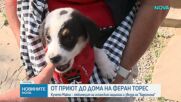 От приют в дряновско село до дома на Феран Торес: Историята на кучето Майло