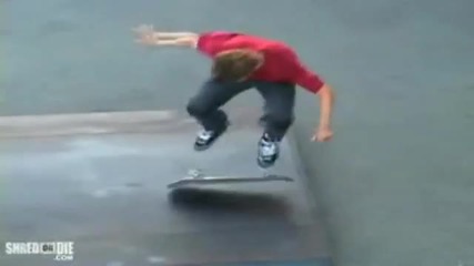 Rodney Mullen 2010 