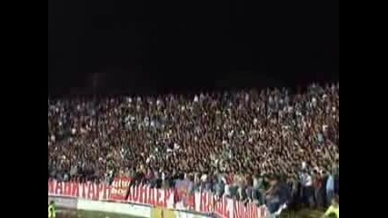Crvena Zvezda - Delije Sever