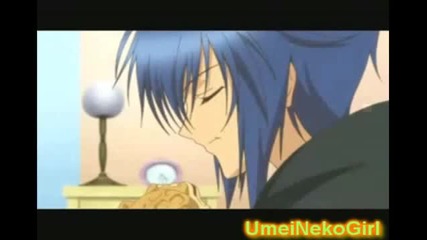 All Ikuto Ever Wanted