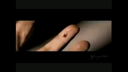 New Moon Official Trailer 2009 Watch Online Full Twilight Movie