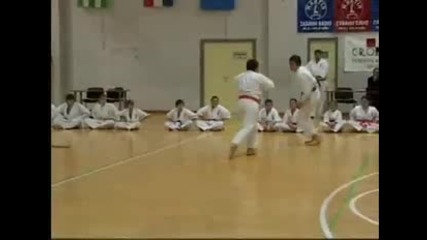 Супер яки демонстрации по Kyokushin Karate / Dugo Selo/ 