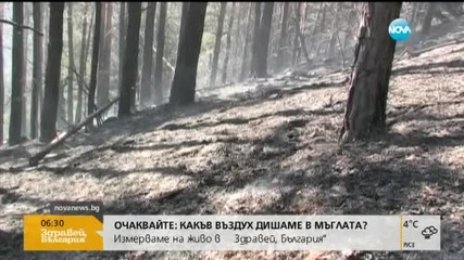 Втори ден се борят с огъня край Златоград
