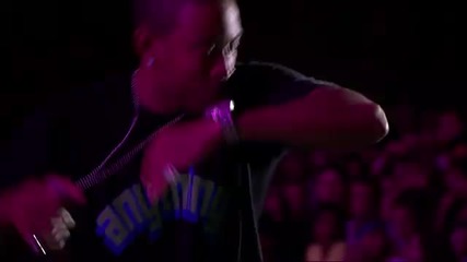 Ludacris - How Low (virgin Mobile Freefest 2010) 