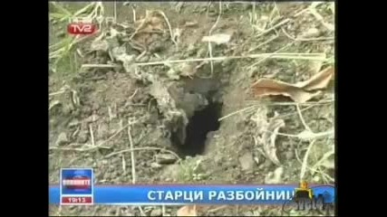 Как да си опазим зелето смях