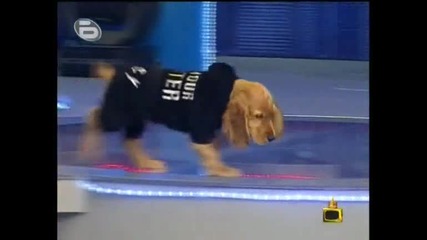 Gospodari na efira 19 - 10 - 2009 част 1 