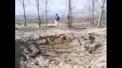 Gainer