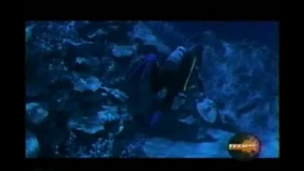 H2o -  Dr. Danger  Trailer (: