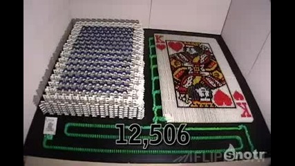 Domino Card 