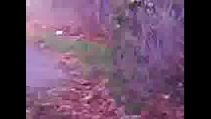 Video 0011