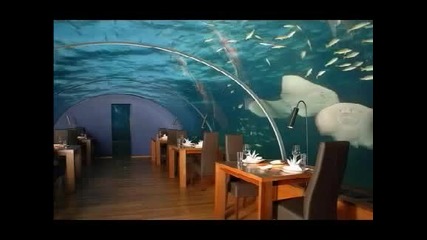 Малдивите - Първият ресторант под водата в света 