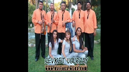 2010 sevket ugurcay - 2