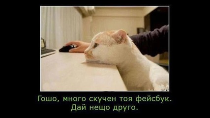 Ако пуснеш този ще се пръснеш от смях !!!