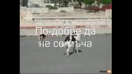 {{{тъжни_кученца}}}