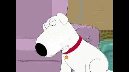 Family Guy И Бездомните