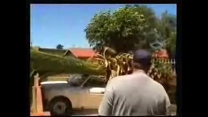 Пълен Идиот с Пикап и Много Късмет !?!