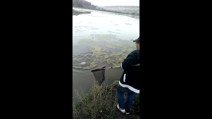 Рибарче