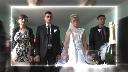 rex video
